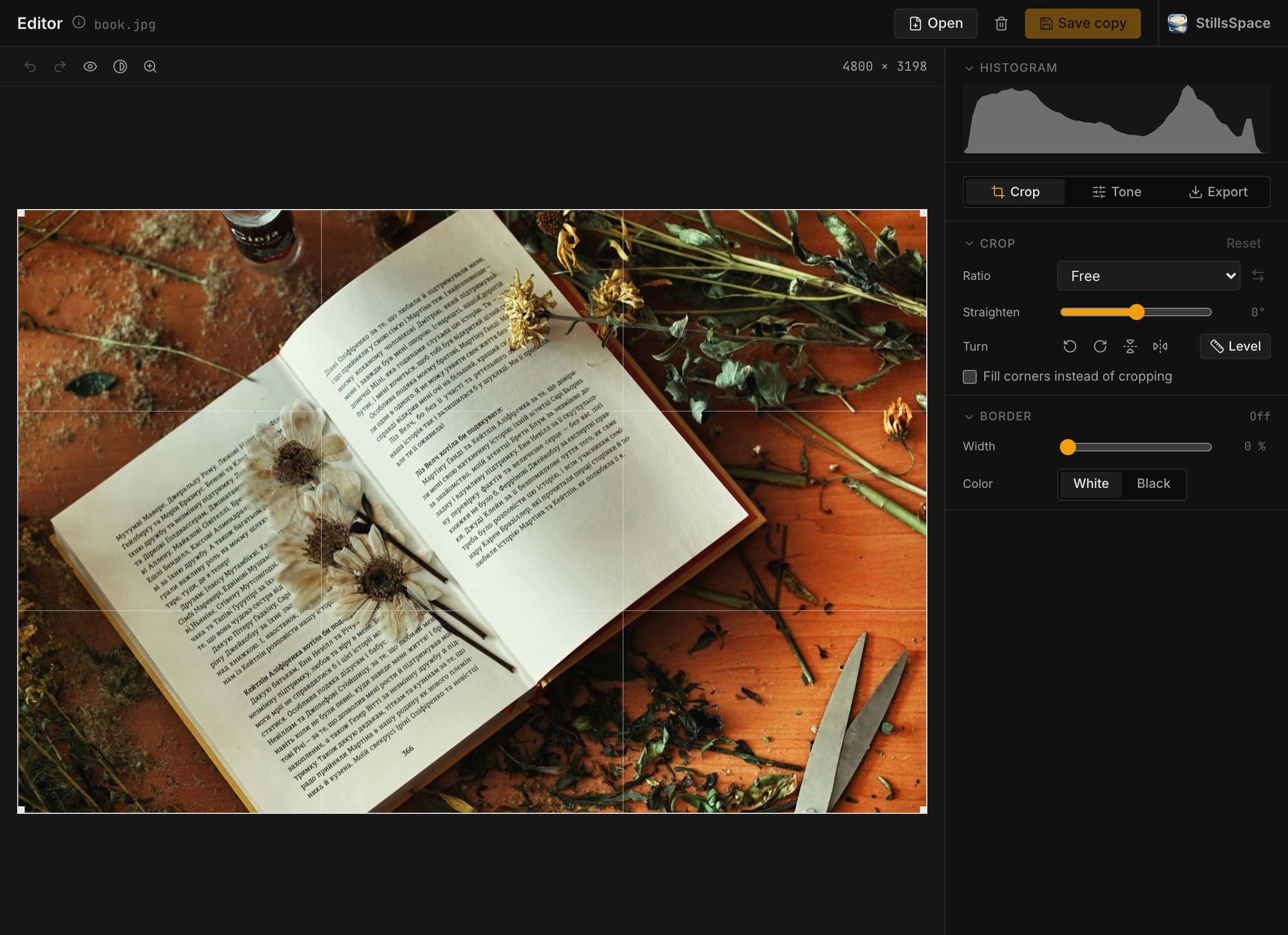 Editor: a scan with crop grid, histogram and geometry controls
